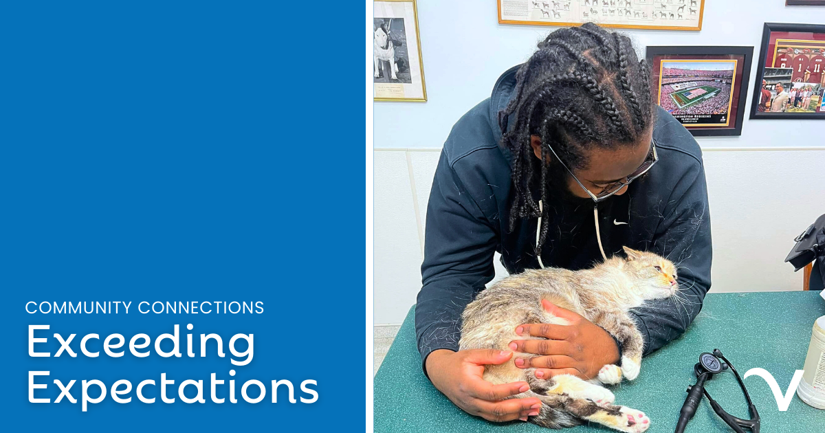 veterinary exotics compassionate care